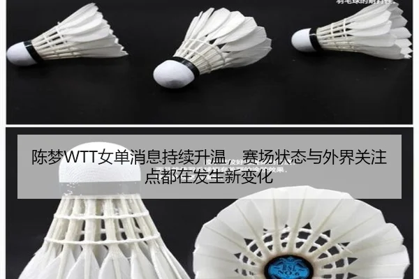 陈梦WTT女单消息持续升温，赛场状态与外界关注点都在发生新变化（MAIQIU）